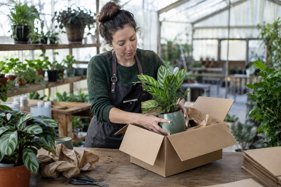 Online retail and e-commerce workspace